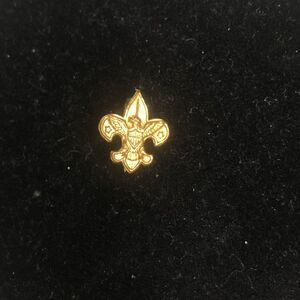 vintage bsa boy scouts of america pin pat 1911‎ fleur de lis eagle 1/2 inch